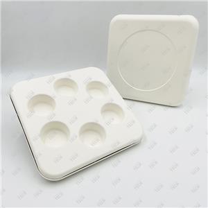 Embalaje de Caja Compostable Fabricantes