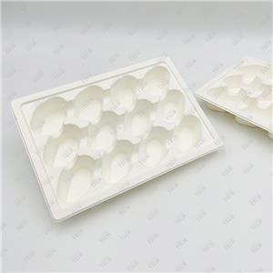 Thermoforming Paper Tray Molded Pulp Fiber