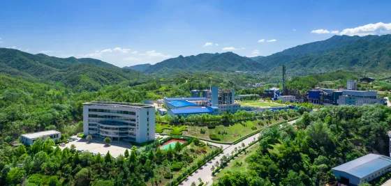 Company Profile