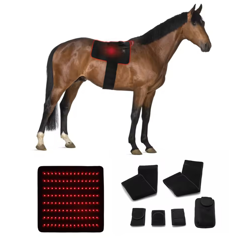 LED Red Light Near Infrared Light Pet Therapy Led Lamp Horse Red Light Therapy Pad Machine For Horse Back