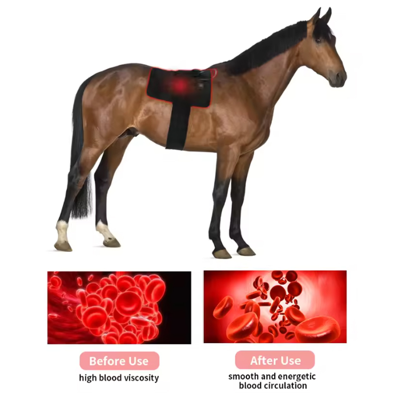 LED Red Light Near Infrared Light Pet Therapy Led Lamp Horse Red Light Therapy Pad Machine For Horse Back