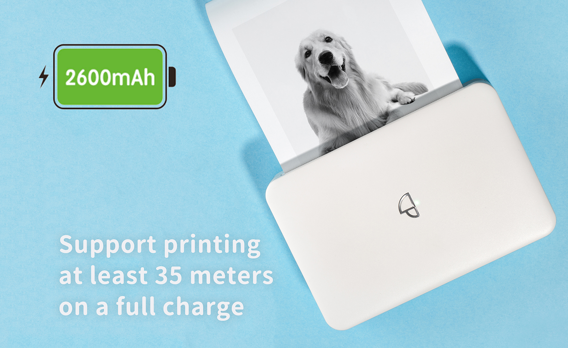 portable thermal printer