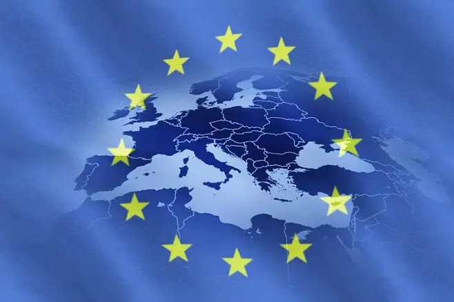 EU restricts imports of maple logs and veneers from US