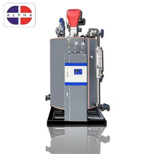 Oil gas steam generator with 1 TON