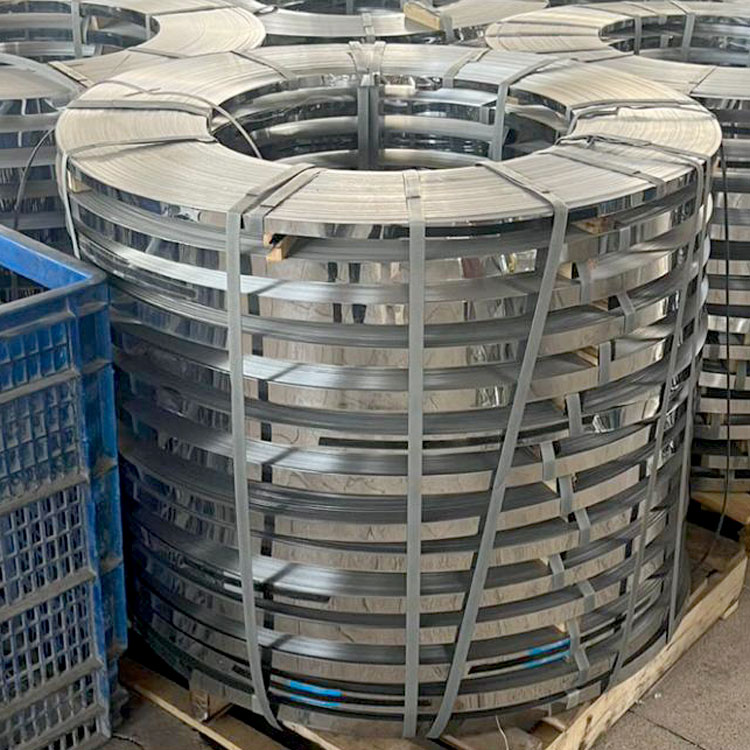 AISI 304 En1.4301 Stainless Steel Strips