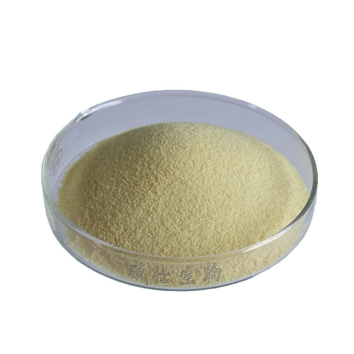 Vitamin A Palmitate 250 CWS Powder