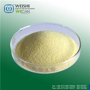 Vitamin A Acetate 500 CWS/CWD Beadlet