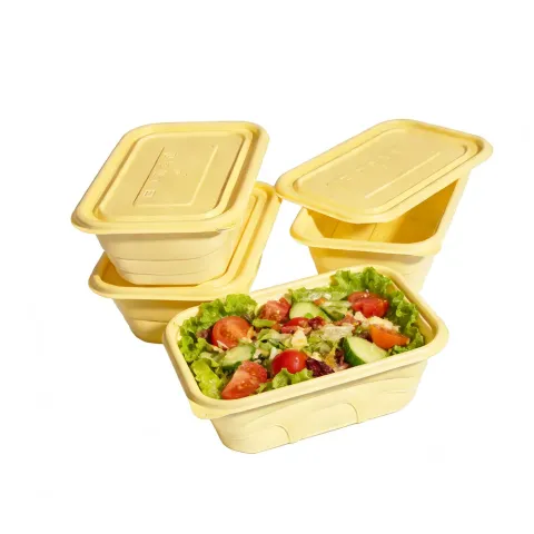 Biodegradable Cornstarch 500ml Square Lunch Boxes