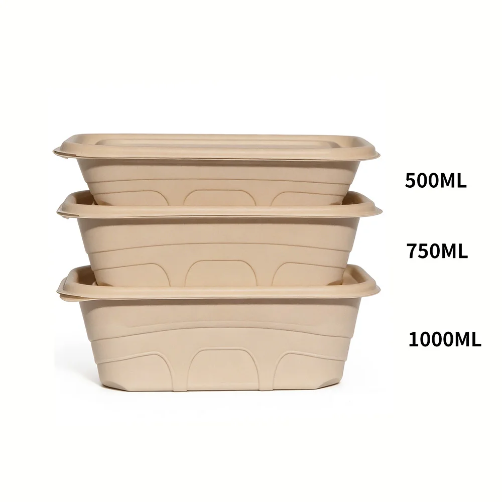 Biodegradable lunch boxes