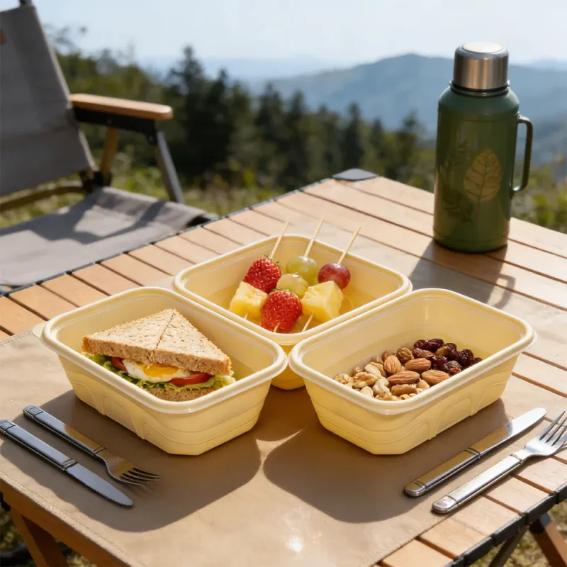 Biodegradable Cornstarch 500ml Square Lunch Boxes