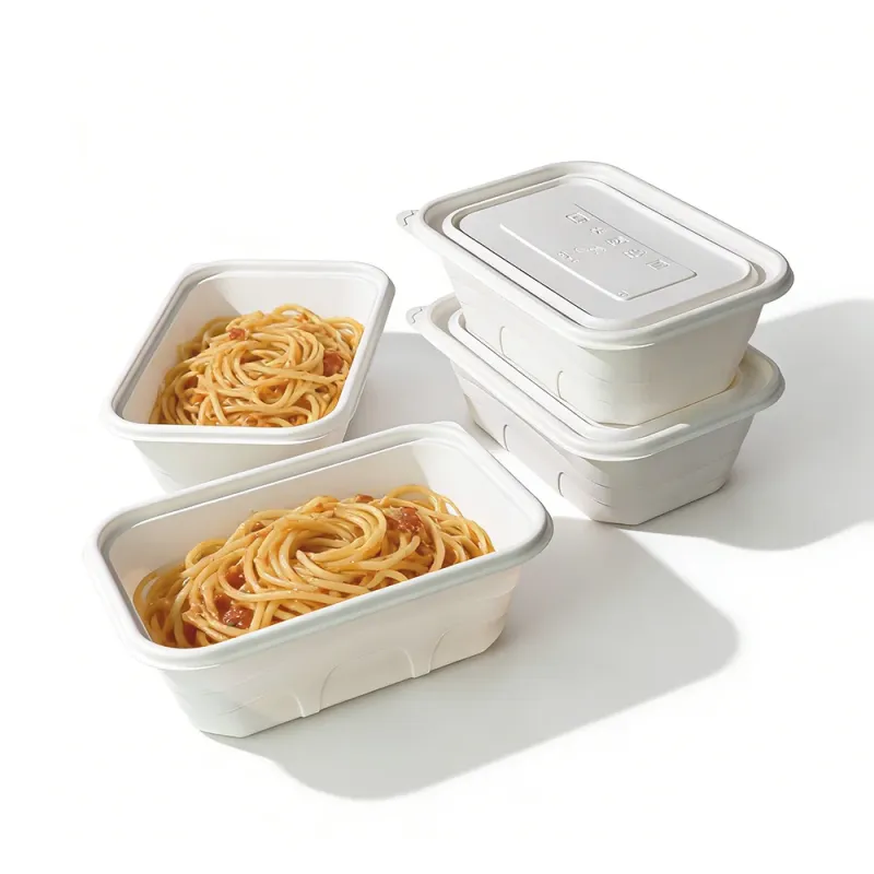 100% Compostable 750ml 1000ml Square Lunch Boxes