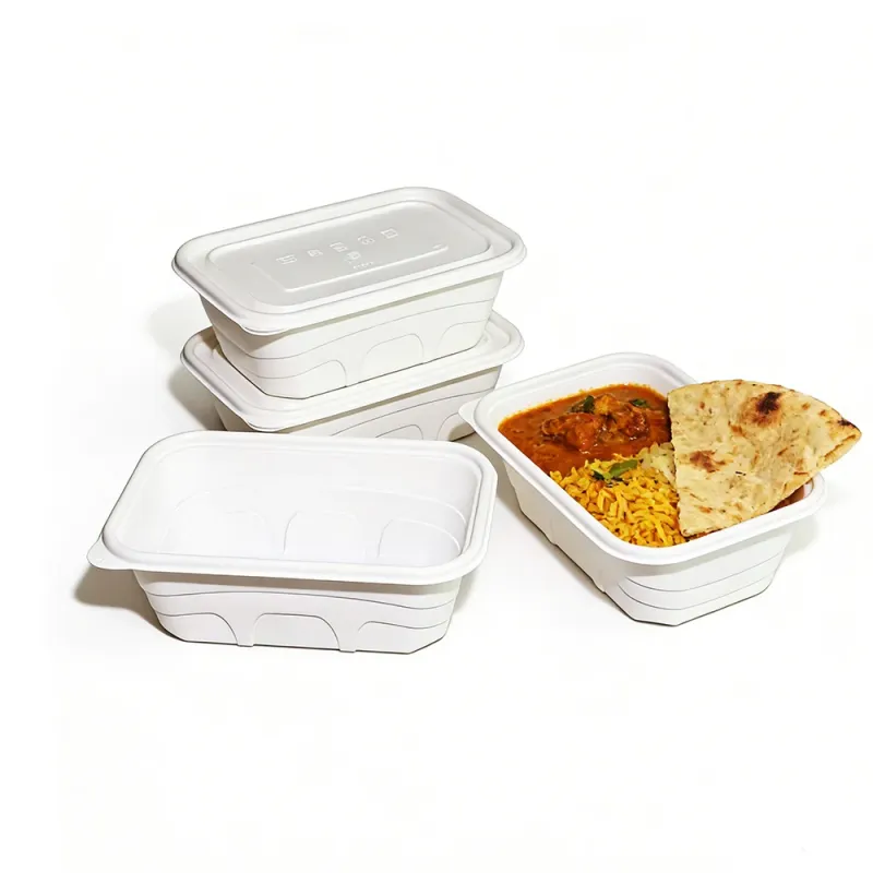 100% Compostable 750ml 1000ml Square Lunch Boxes