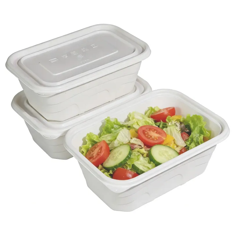 100% Compostable 750ml 1000ml Square Lunch Boxes