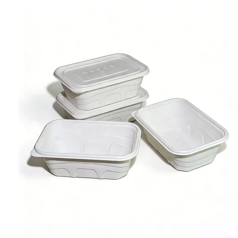 100% Compostable 750ml 1000ml Square Lunch Boxes