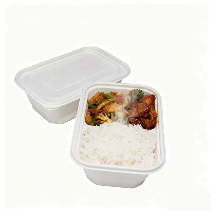 100% Compostable 750ml 1000ml Square Lunch Boxes