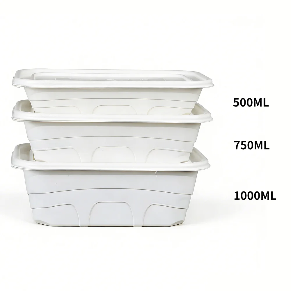 Cornstarch Biodegradable Takeaway Packaging