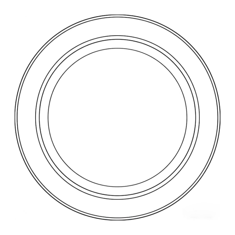 Eco-friendly Dinner Plates