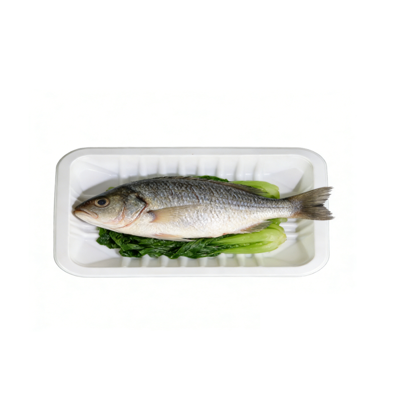 Vassoio per carne e verdura in PP riciclabile e durevole