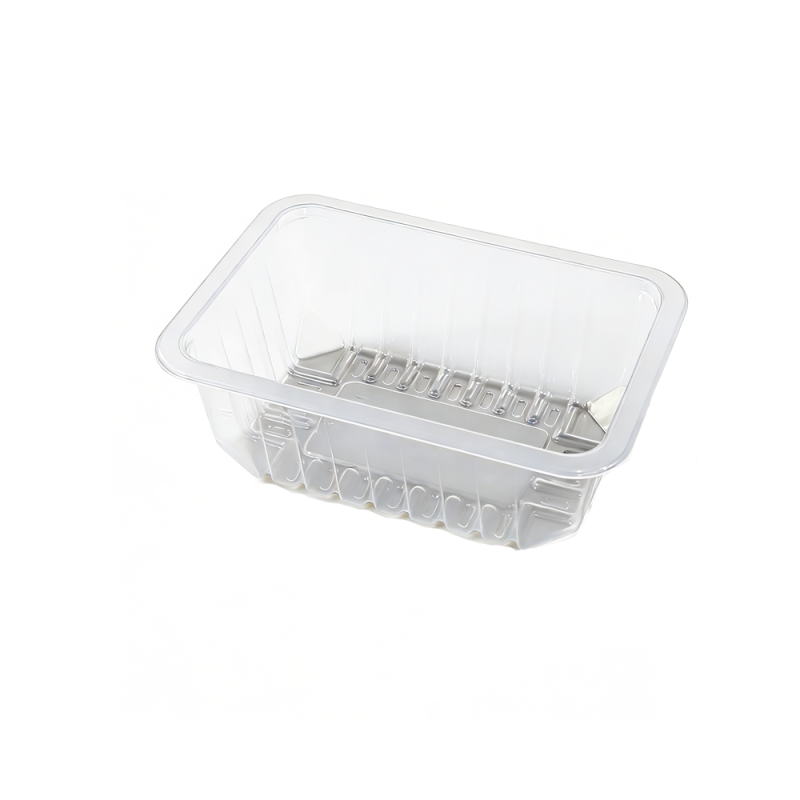 High-Performance Rigid Polypropylene Protein Trays