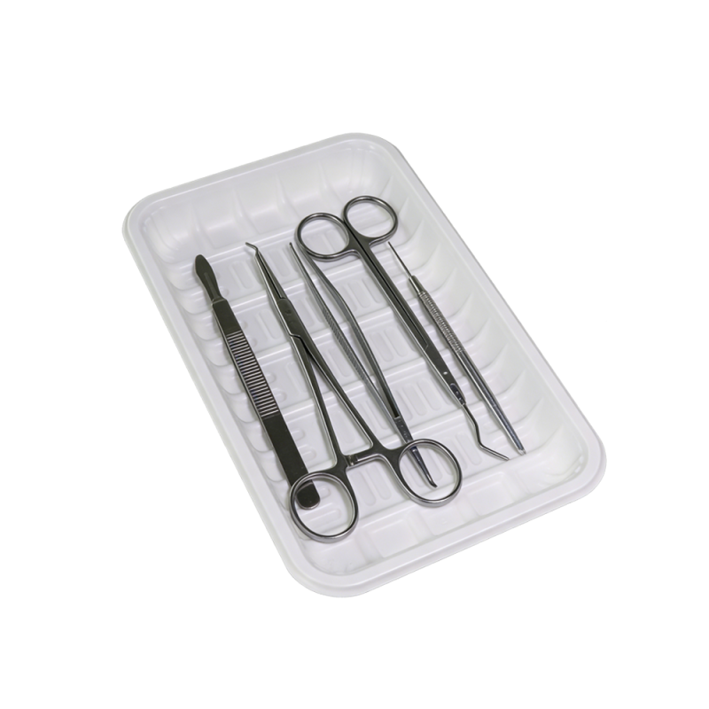 20cm 일회용 추신 플라스틱 의료 및 식품 트레이