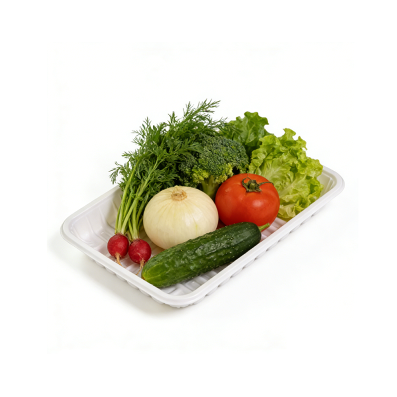 20cm 일회용 추신 플라스틱 의료 및 식품 트레이