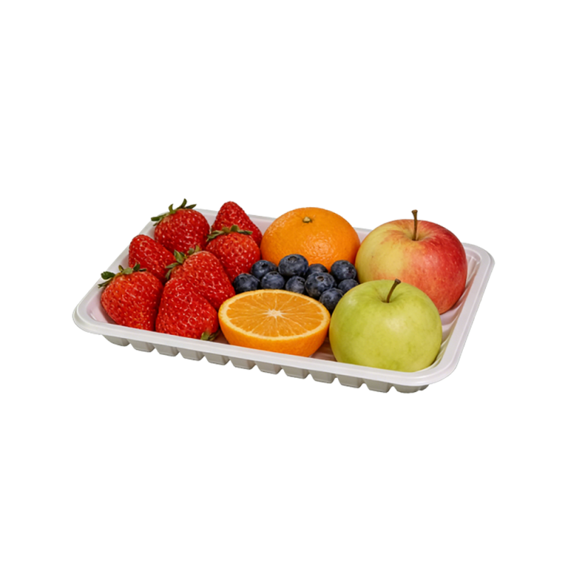 20cm 일회용 추신 플라스틱 의료 및 식품 트레이