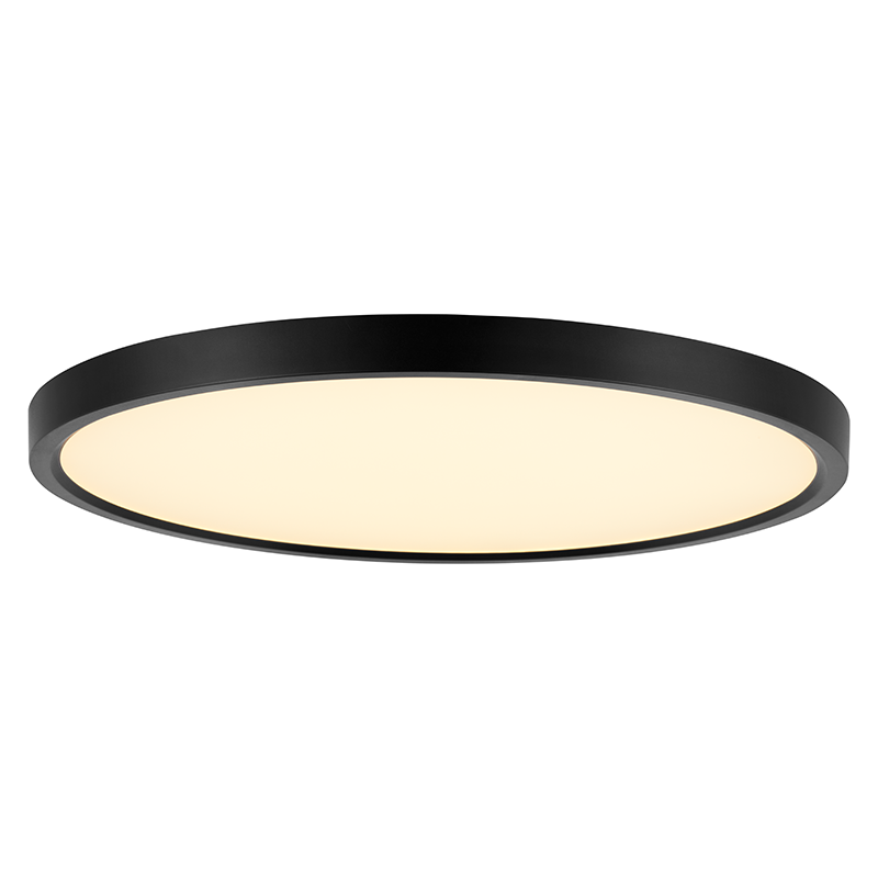 Black smart ceiling light