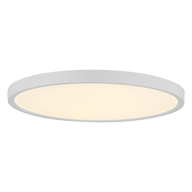 Black smart ceiling light