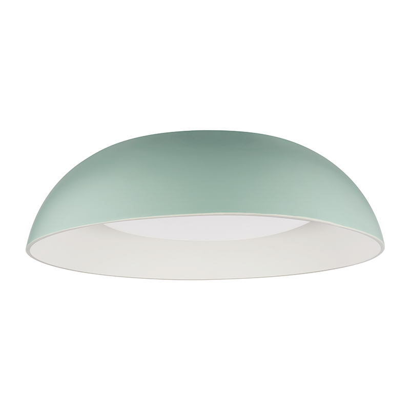 Daylight LED ceiling light