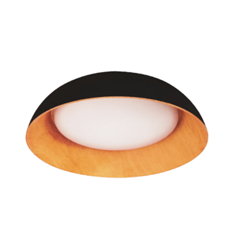 Daylight LED ceiling light