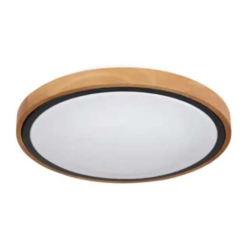 Dining Room Traditional Minimalist Led Ceiling Lights