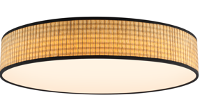 ceiling light