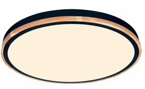 ceiling light