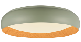 led lights for home ceiling