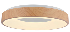 Water transfer printing LED ceiling light