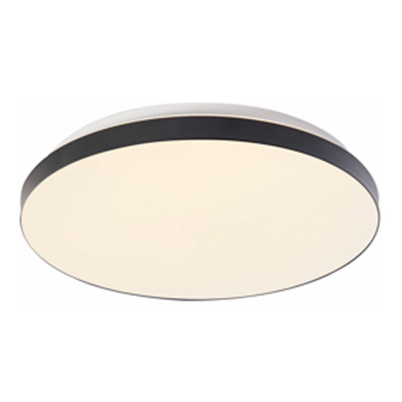 Black rim ceiling light