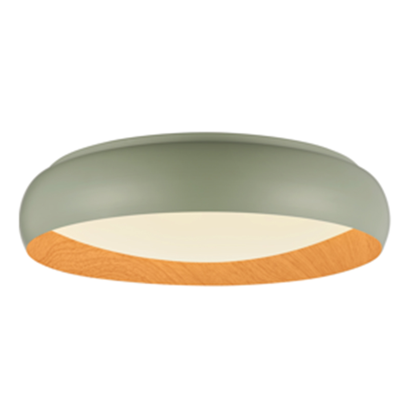 LED ceiling light