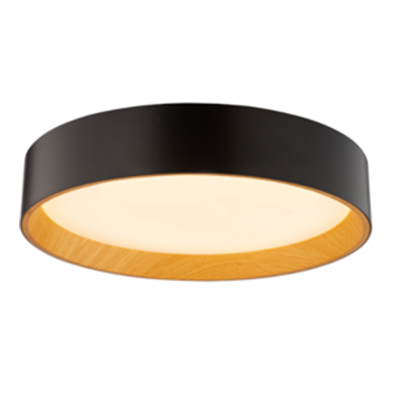 Black round ceiling light