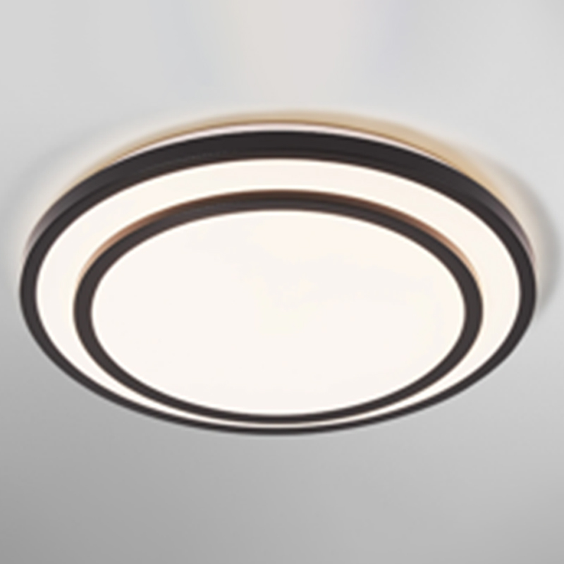 Ceiling lamp double-layered