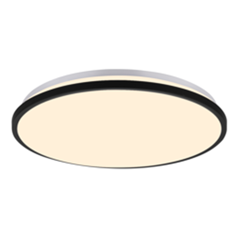 Black frame ceiling lamp