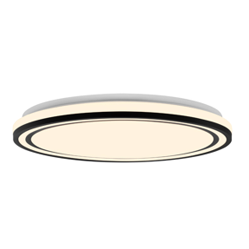Black Frame Round LED Ceiling Light