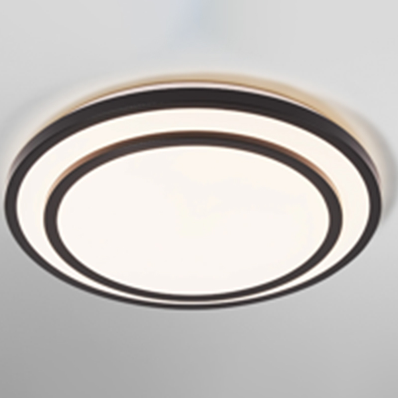 Black frame double LED ceiling light