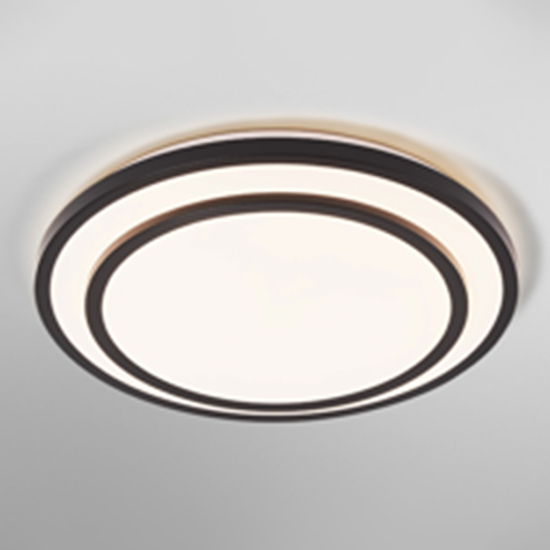 Black frame double ceiling light