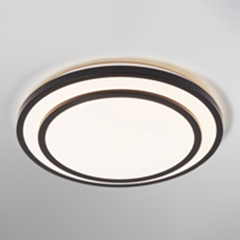 Double layer LED ceiling light