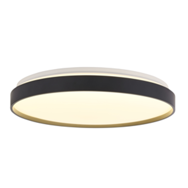 Black-framed ceiling light