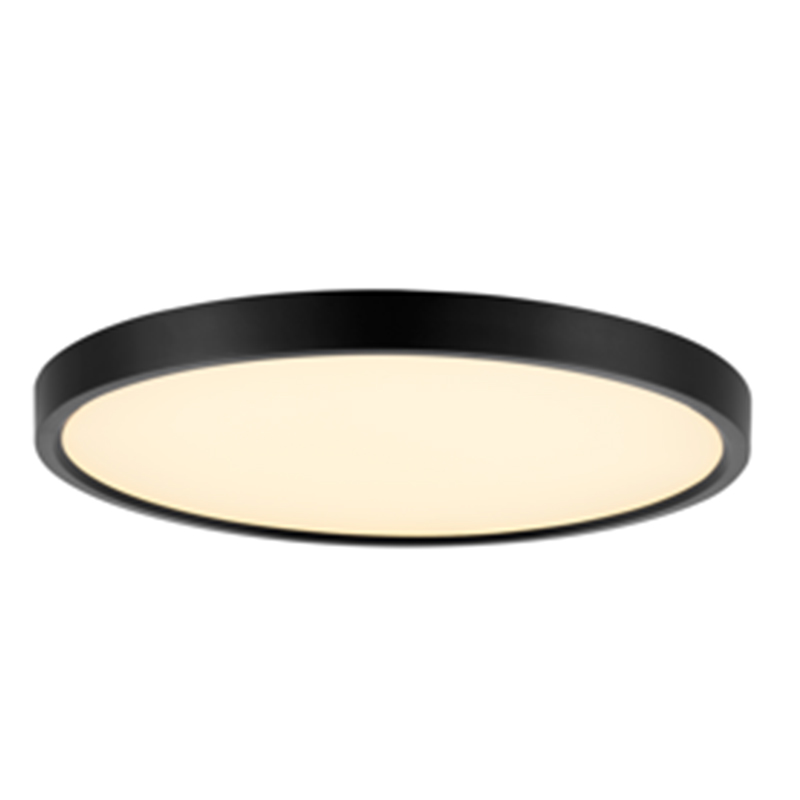 Black smart control light