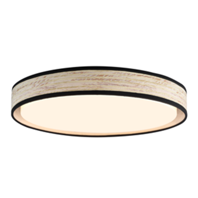 Makeup Room Fashion Ceiling Dimmable Embedded Light