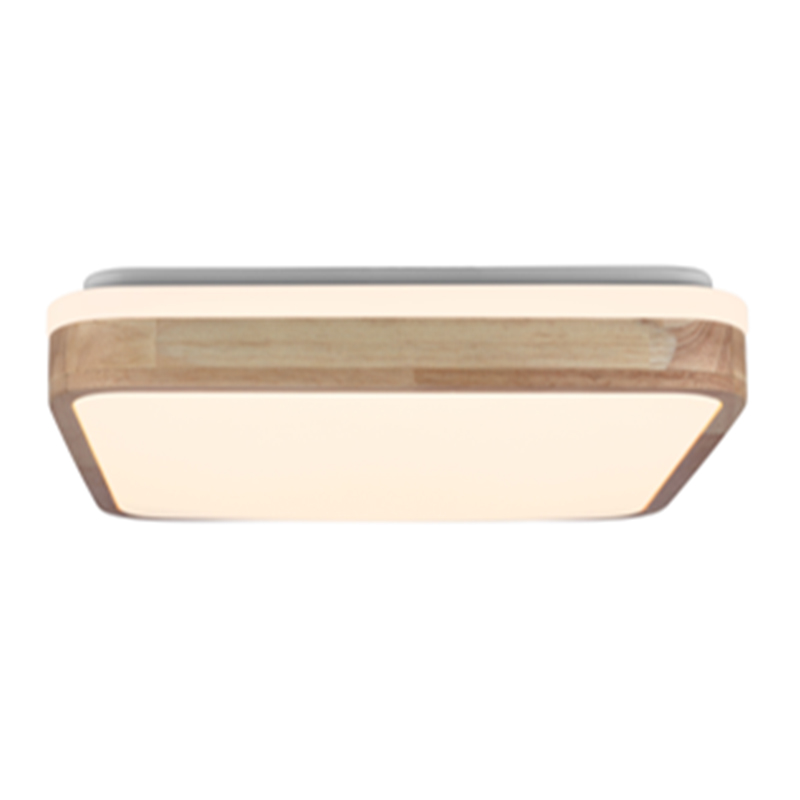 Rectangular flush mount ceiling light