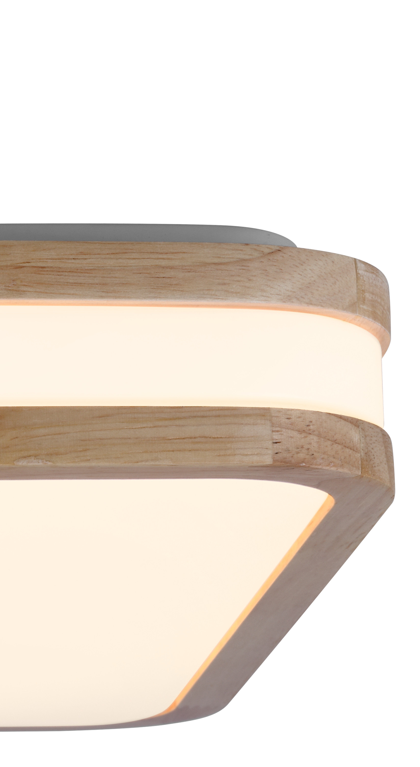 Rectangular flush mount ceiling light
