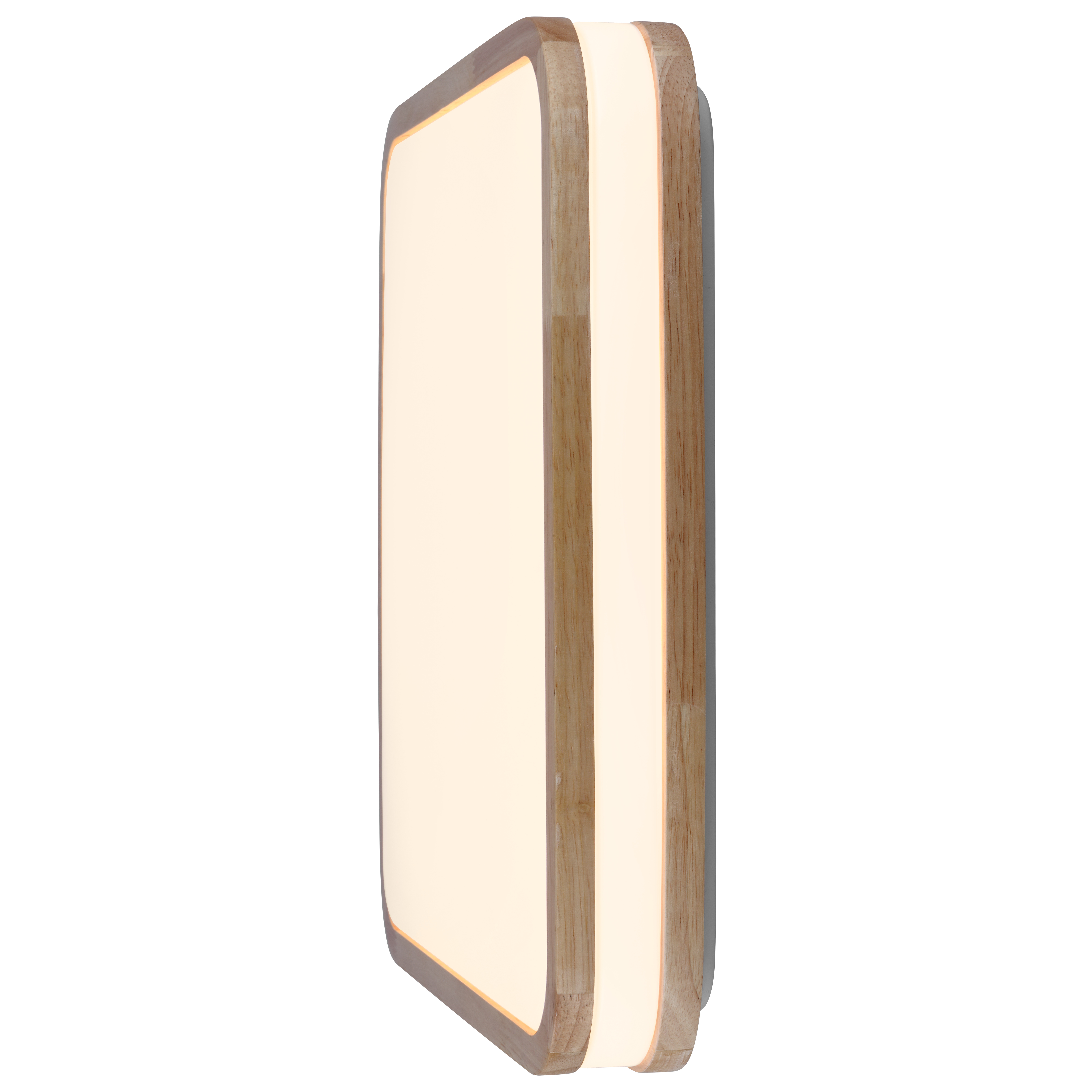 Rectangular flush mount ceiling light